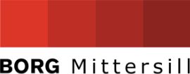 BORG Mittersill Logoneu